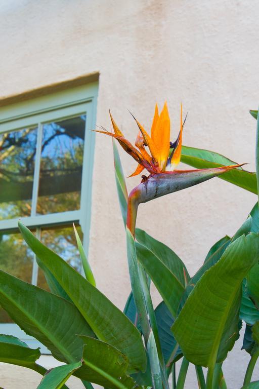 Babette Bed And Breakfast Swellendam Exterior foto