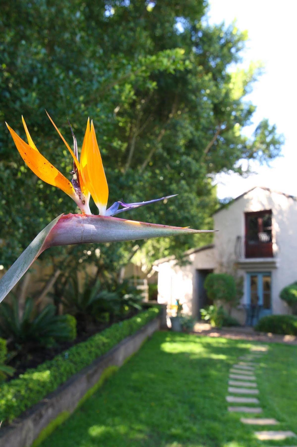 Babette Bed And Breakfast Swellendam Exterior foto
